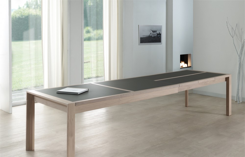 Table rect. 200(350)x100 E8 N°3 verre taupe 3 all. (1)